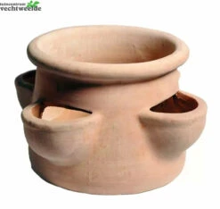 Aardbeienpot 4cm Cups D35 Whitewash