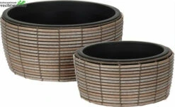 BLOEMPOT ROND SCHAAL Klein Per Stuk