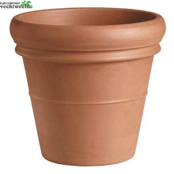 Pot Vaso Bordo D63.1 - H53.9 Cm