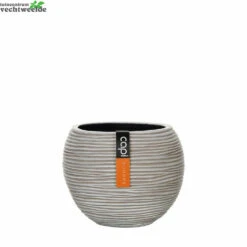 Vaas Bol Iv D29.2h25cm Ivoor