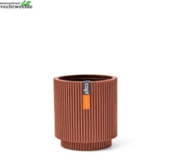 Vaas Cilinder Groove D23h25 Merlot