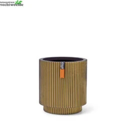 Vaas Cilinder Groove D23h25 Zw/gd