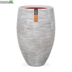 Vaas Eleg Deluxe Rib Nl D56h84 Ivoor