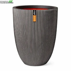 Vaas Elegant Lg Groove D46h58 Antrc